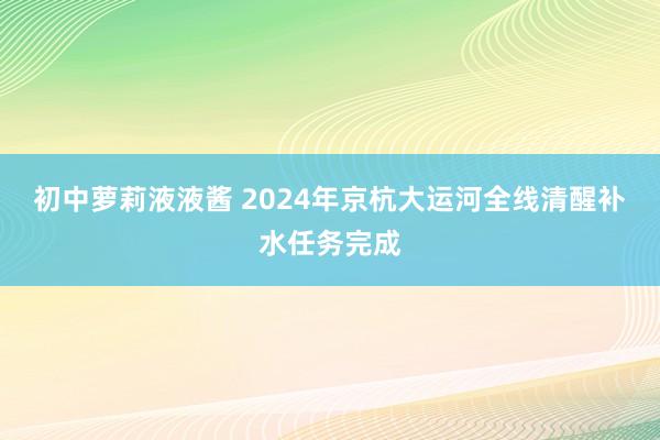 初中萝莉液液酱 2024年京杭大运河全线清醒补水任务完成