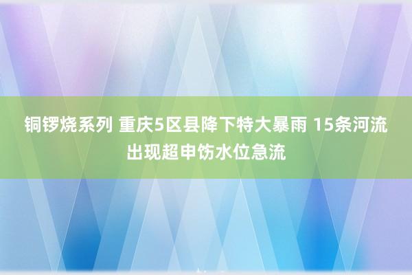 铜锣烧系列 重庆5区县降下特大暴雨 15条河流出现超申饬水位急流