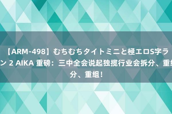 【ARM-498】むちむちタイトミニと極エロS字ライン 2 AIKA 重磅：三中全会说起独揽行业会拆分、重组！