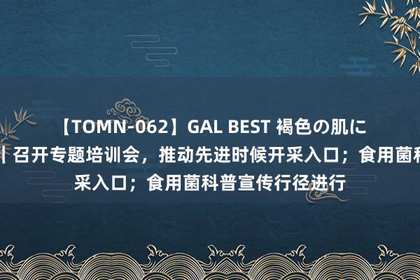 【TOMN-062】GAL BEST 褐色の肌に煌く汗 新区动态｜召开专题培训会，推动先进时候开采入口；食用菌科普宣传行径进行