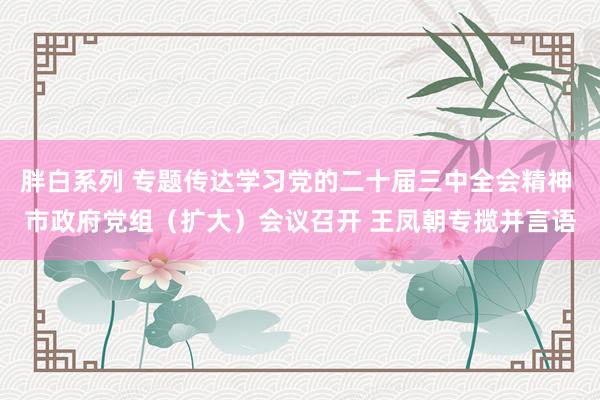 胖白系列 专题传达学习党的二十届三中全会精神 市政府党组（扩大）会议召开 王凤朝专揽并言语