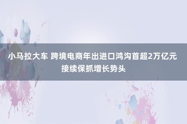 小马拉大车 跨境电商年出进口鸿沟首超2万亿元 接续保抓增长势头