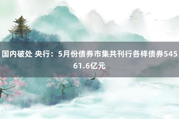 国内破处 央行：5月份债券市集共刊行各样债券54561.6亿元