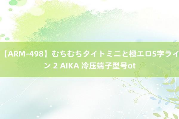 【ARM-498】むちむちタイトミニと極エロS字ライン 2 AIKA 冷压端子型号ot