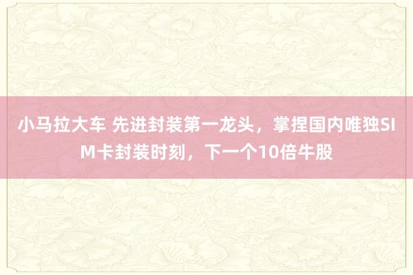 小马拉大车 先进封装第一龙头，掌捏国内唯独SIM卡封装时刻，下一个10倍牛股