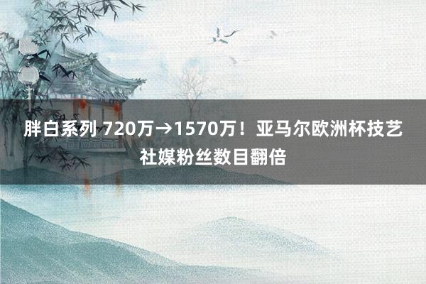 胖白系列 720万→1570万！亚马尔欧洲杯技艺社媒粉丝数目翻倍