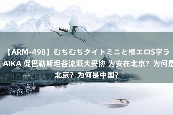 【ARM-498】むちむちタイトミニと極エロS字ライン 2 AIKA 促巴勒斯坦各流派大妥协 为安在北京？为何是中国？