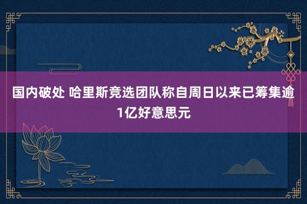 国内破处 哈里斯竞选团队称自周日以来已筹集逾1亿好意思元