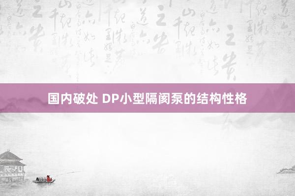 国内破处 DP小型隔阂泵的结构性格