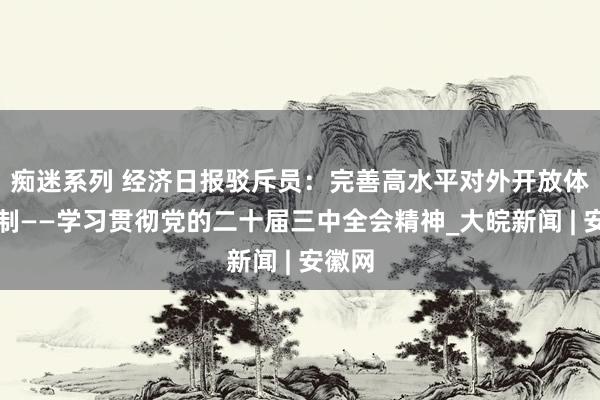 痴迷系列 经济日报驳斥员：完善高水平对外开放体制机制——学习贯彻党的二十届三中全会精神_大皖新闻 | 安徽网