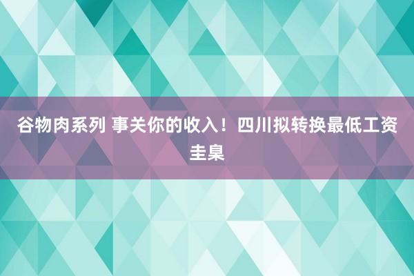 谷物肉系列 事关你的收入！四川拟转换最低工资圭臬