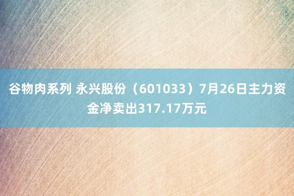 谷物肉系列 永兴股份（601033）7月26日主力资金净卖出317.17万元