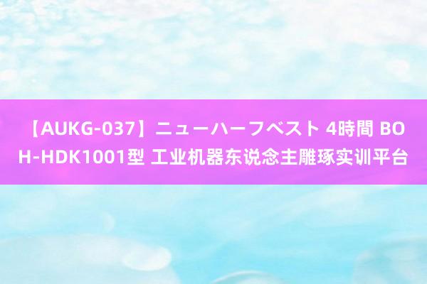 【AUKG-037】ニューハーフベスト 4時間 BOH-HDK1001型 工业机器东说念主雕琢实训平台