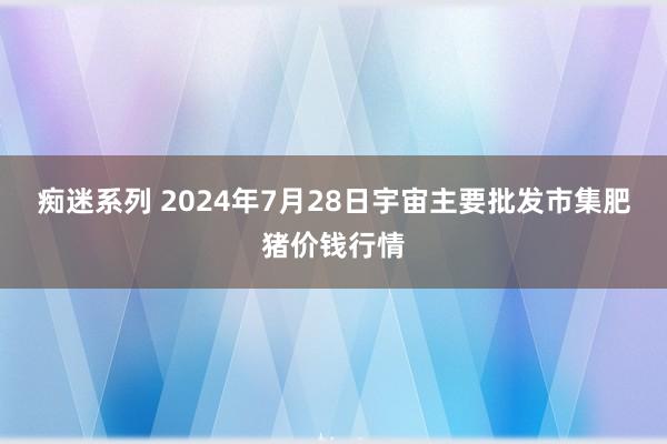 痴迷系列 2024年7月28日宇宙主要批发市集肥猪价钱行情