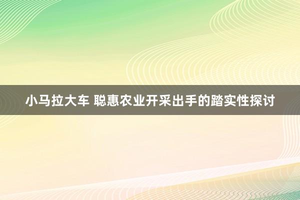 小马拉大车 聪惠农业开采出手的踏实性探讨