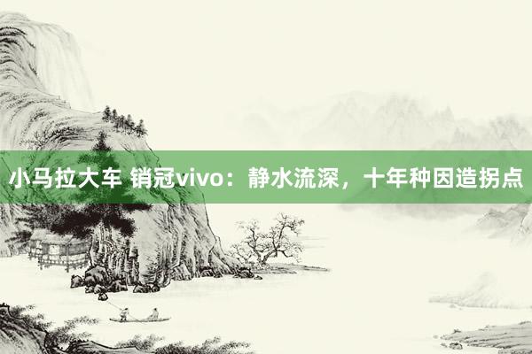 小马拉大车 销冠vivo：静水流深，十年种因造拐点