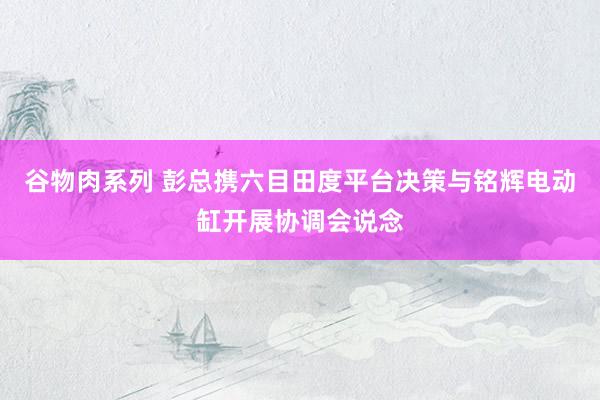 谷物肉系列 彭总携六目田度平台决策与铭辉电动缸开展协调会说念