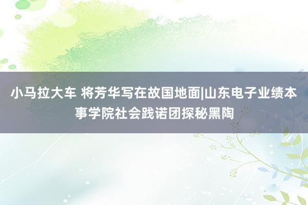 小马拉大车 将芳华写在故国地面|山东电子业绩本事学院社会践诺团探秘黑陶