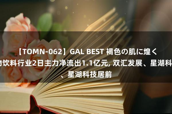 【TOMN-062】GAL BEST 褐色の肌に煌く汗 食物饮料行业2日主力净流出1.1亿元， 双汇发展、星湖科技居前