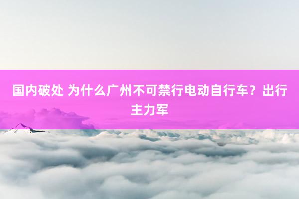 国内破处 为什么广州不可禁行电动自行车？出行主力军