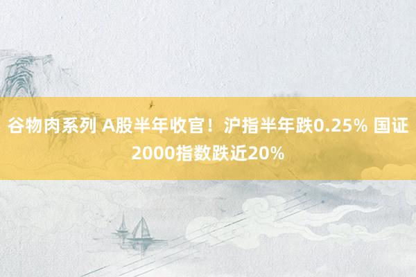 谷物肉系列 A股半年收官！沪指半年跌0.25% 国证2000指数跌近20%