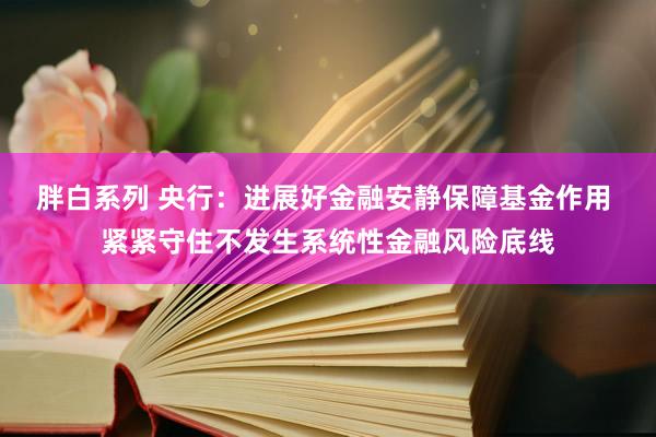 胖白系列 央行：进展好金融安静保障基金作用 紧紧守住不发生系统性金融风险底线