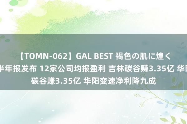 【TOMN-062】GAL BEST 褐色の肌に煌く汗 北交所又一批半年报发布 12家公司均报盈利 吉林碳谷赚3.35亿 华阳变速净利降九成