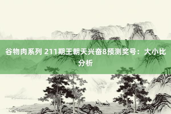 谷物肉系列 211期王朝天兴奋8预测奖号：大小比分析