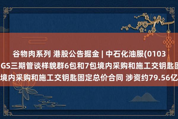 谷物肉系列 港股公告掘金 | 中石化油服(01033)与沙特阿好意思签署MGS三期管谈样貌群6包和7包境内采购和施工交钥匙固定总价合同 涉资约79.56亿元