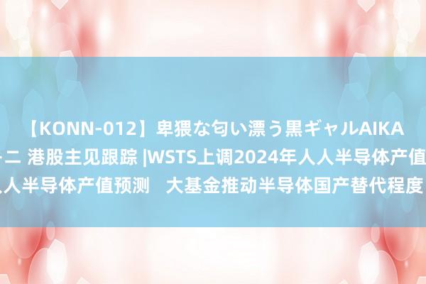 【KONN-012】卑猥な匂い漂う黒ギャルAIKAの中出しグイ込みビキニ 港股主见跟踪 |WSTS上调2024年人人半导体产值预测   大基金推动半导体国产替代程度（附主见股）