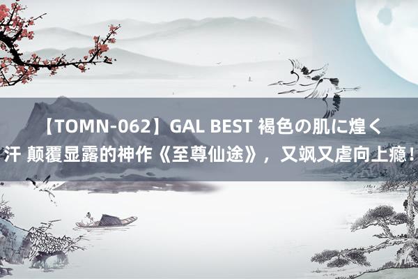 【TOMN-062】GAL BEST 褐色の肌に煌く汗 颠覆显露的神作《至尊仙途》，又飒又虐向上瘾！