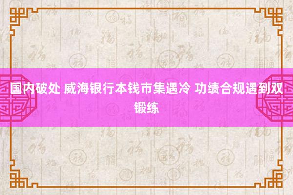 国内破处 威海银行本钱市集遇冷 功绩合规遇到双锻练