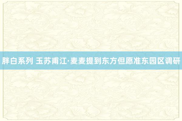 胖白系列 玉苏甫江·麦麦提到东方但愿准东园区调研