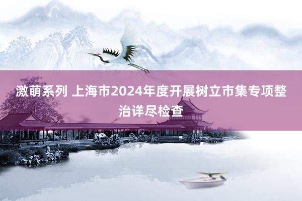 激萌系列 上海市2024年度开展树立市集专项整治详尽检查