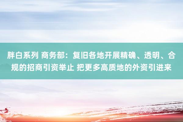 胖白系列 商务部：复旧各地开展精确、透明、合规的招商引资举止 把更多高质地的外资引进来