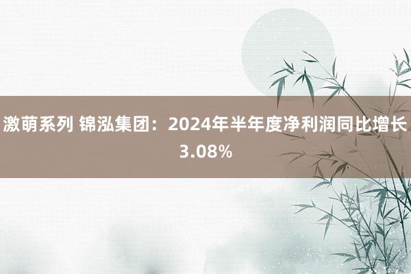 激萌系列 锦泓集团：2024年半年度净利润同比增长3.08%