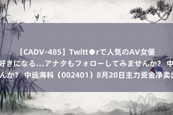 【CADV-485】Twitt●rで人気のAV女優 SNSでますますAV女優が好きになる…アナタもフォローしてみませんか？ 中远海科（002401）8月20日主力资金净卖出427.52万元