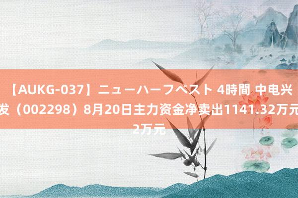 【AUKG-037】ニューハーフベスト 4時間 中电兴发（002298）8月20日主力资金净卖出1141.32万元