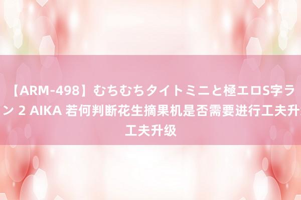 【ARM-498】むちむちタイトミニと極エロS字ライン 2 AIKA 若何判断花生摘果机是否需要进行工夫升级