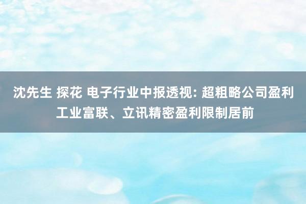 沈先生 探花 电子行业中报透视: 超粗略公司盈利 工业富联、立讯精密盈利限制居前