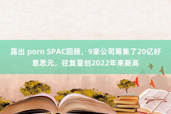 露出 porn SPAC回顾，9家公司筹集了20亿好意思元，往复量创2022年来新高