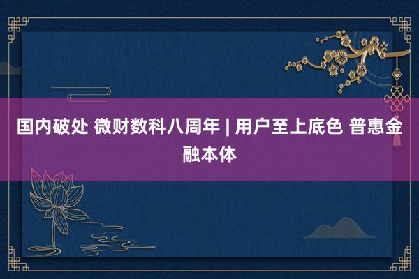 国内破处 微财数科八周年 | 用户至上底色 普惠金融本体