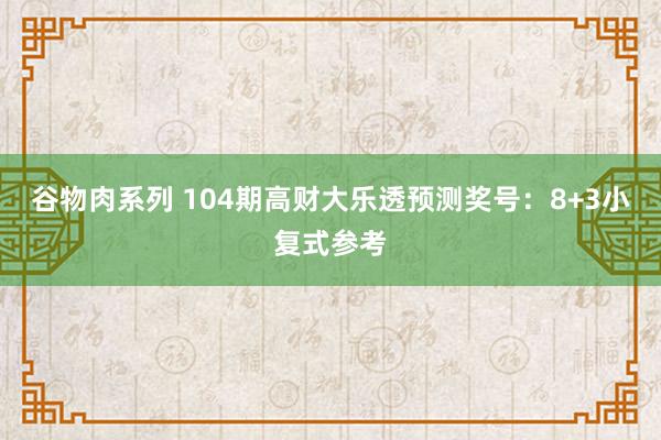 谷物肉系列 104期高财大乐透预测奖号：8+3小复式参考