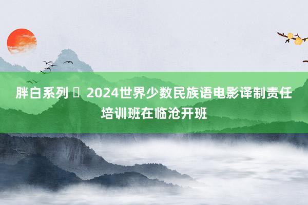 胖白系列 ​2024世界少数民族语电影译制责任培训班在临沧开班