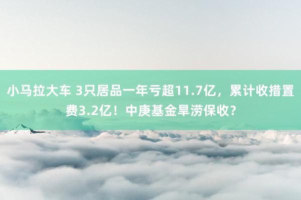 小马拉大车 3只居品一年亏超11.7亿，累计收措置费3.2亿！中庚基金旱涝保收？