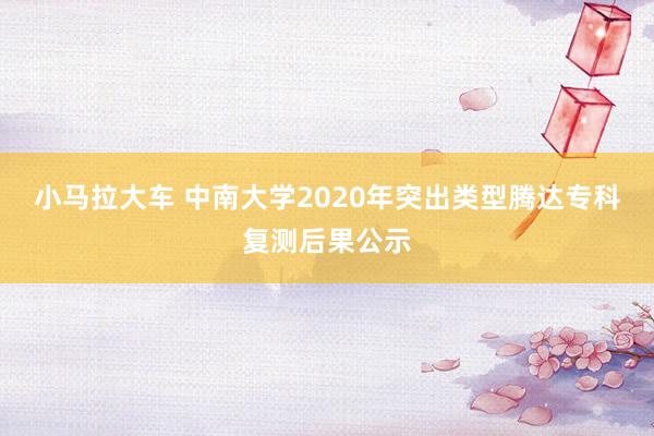 小马拉大车 中南大学2020年突出类型腾达专科复测后果公示