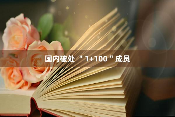 国内破处 ＂1+100＂成员