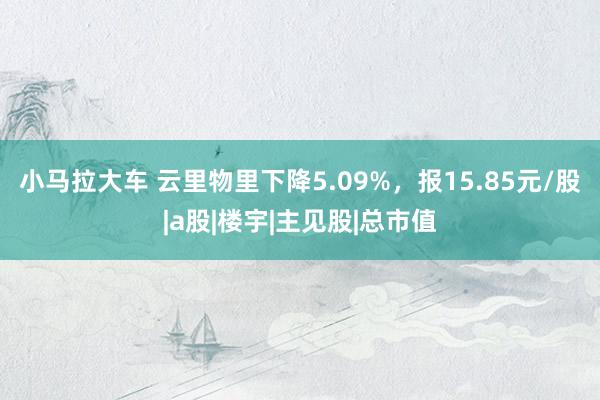 小马拉大车 云里物里下降5.09%，报15.85元/股|a股|楼宇|主见股|总市值