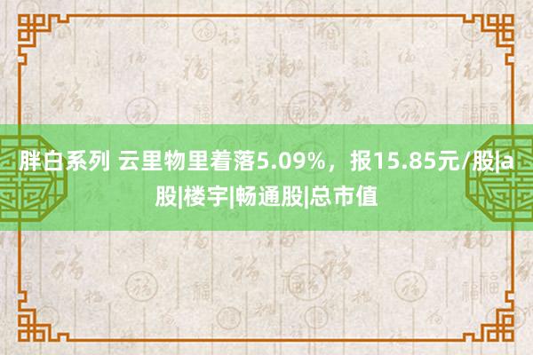 胖白系列 云里物里着落5.09%，报15.85元/股|a股|楼宇|畅通股|总市值