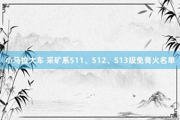 小马拉大车 采矿系511、512、513级免膏火名单